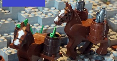 Lego Akropolis: Esel als Transportmittel