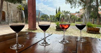 Weingut Achaia Clauss - Du kannst Wein vor Ort verkosten
