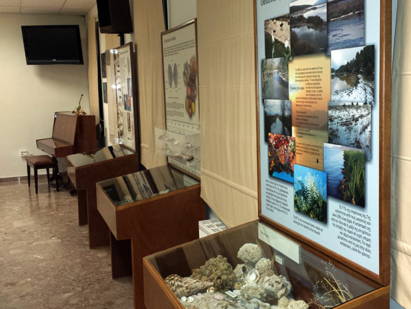 Dauerausstellung Muscheln und Meer in der Bibliothek von Poros