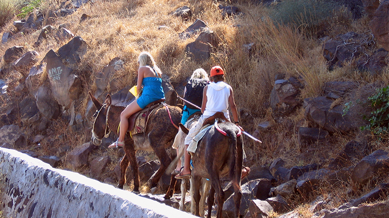 Touristen reiten auf Eseln von Ormos Korfou hoch nach Manolas