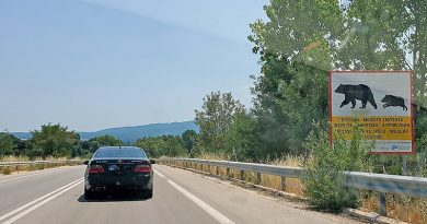 Schild warnt in Griechenland vor Wildwechsel mit Bär und Wildschwein