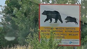 Warnschild Wildwechsel mit Bär und Wildschwein