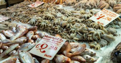 fangfrischer Fisch auf einem griechischen Fischmarkt