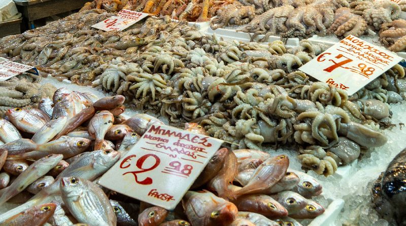fangfrischer Fisch auf einem griechischen Fischmarkt