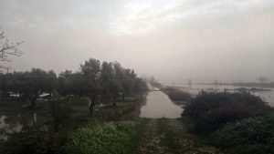 Februar 2026: Überschwemmungen am Alfios