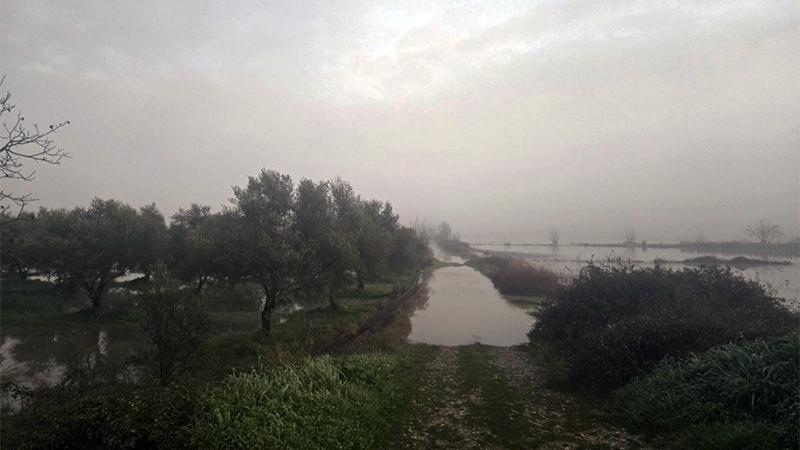 Februar 2026: Überschwemmungen am Alfios