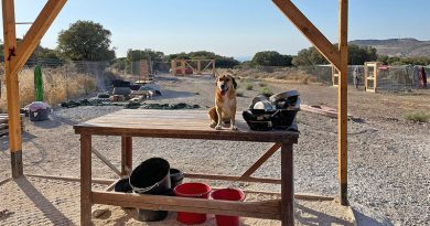 Dafür brauchen die Tierfreunde Lesvos Deine Hilfe