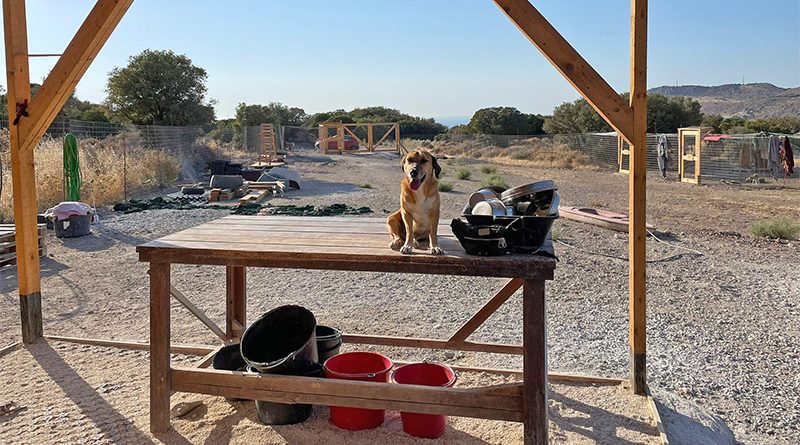 Dafür brauchen die Tierfreunde Lesvos Deine Hilfe