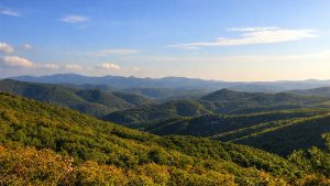 Dadia-Lefkimi-Soufli Nationalpark