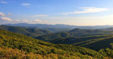 Dadia-Lefkimi-Soufli Nationalpark
