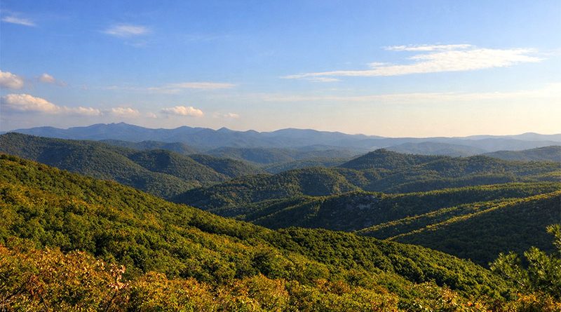 Dadia-Lefkimi-Soufli Nationalpark