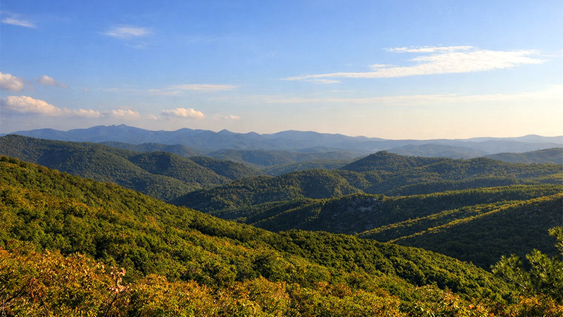 Dadia-Lefkimi-Soufli Nationalpark