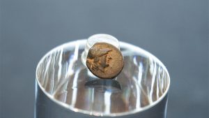 Präsentation der antiken griechischen Münze im PETRI Berlin.