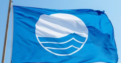 Blaue Flagge