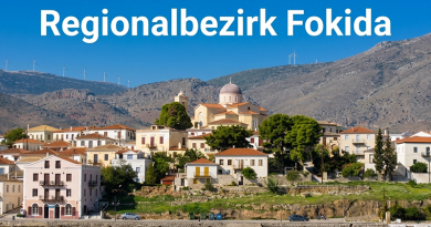 Regionalbezirk Fokida