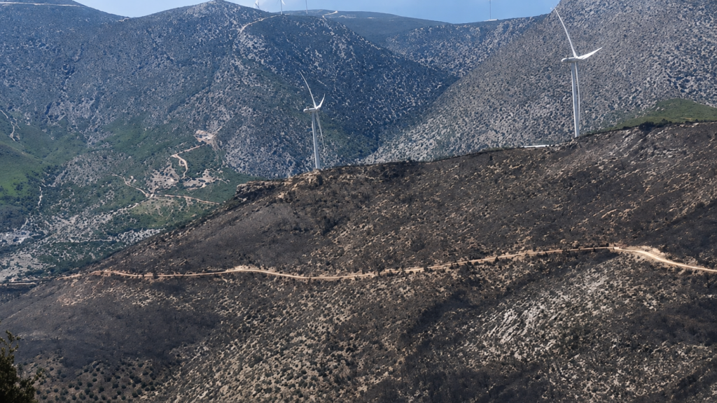 Windparks in Böotien: verursachten sie den Waldbrand?