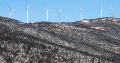 Oben stehen die Windräder, unten ist der Wald verbrannt