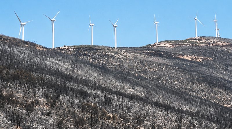 Oben stehen die Windräder, unten ist der Wald verbrannt