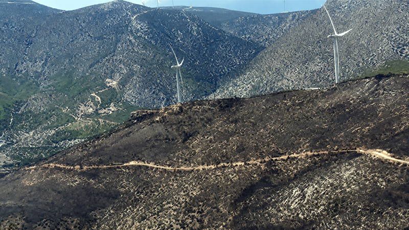 Windparks in Böotien: verursachten sie den Waldbrand? Windparks in Böotien: verursachten sie den Waldbrand?