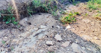 Im Sommer ausgetrockneter Bach